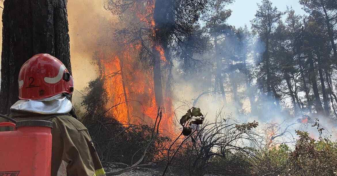 Францію охопили лісові пожежі