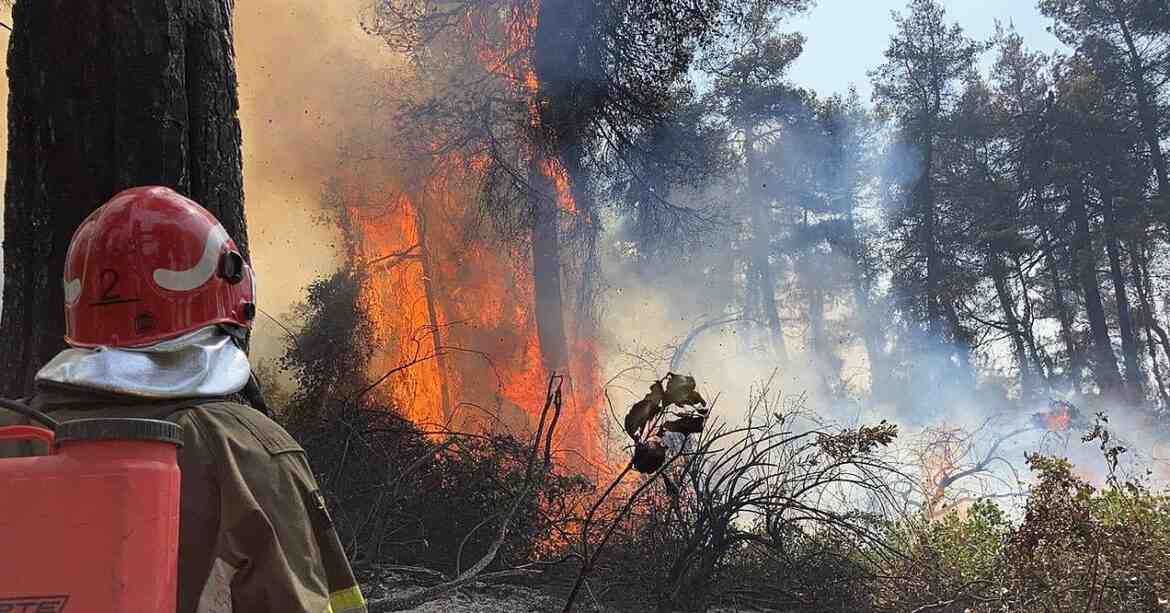 У Хорватії сталася масштабна лісова пожежа