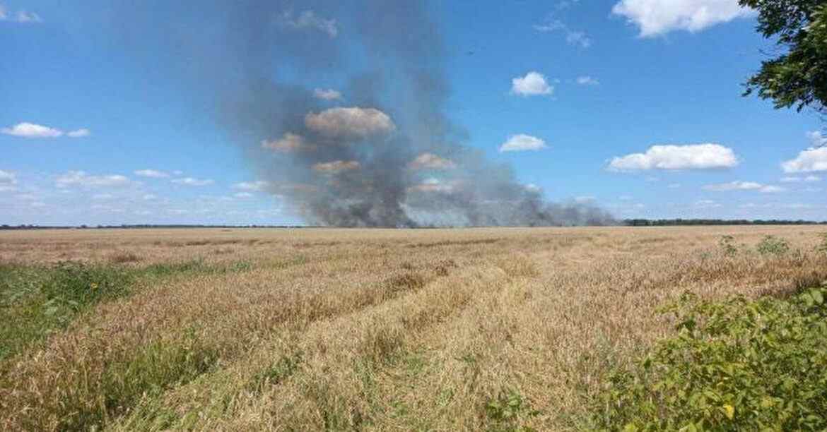 ДПСУ: окупанти вдарили по полю з пшеницею на Сумщині