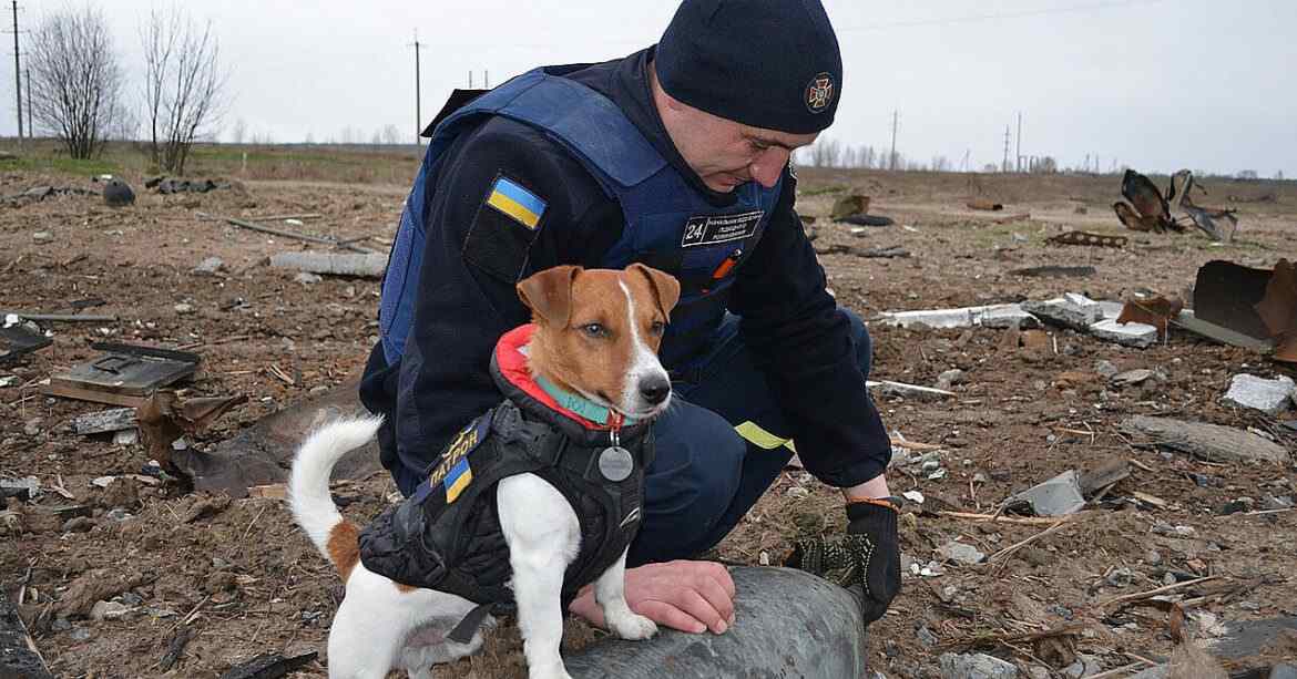 Укрпошта випустить нову марку “Пес Патрон”