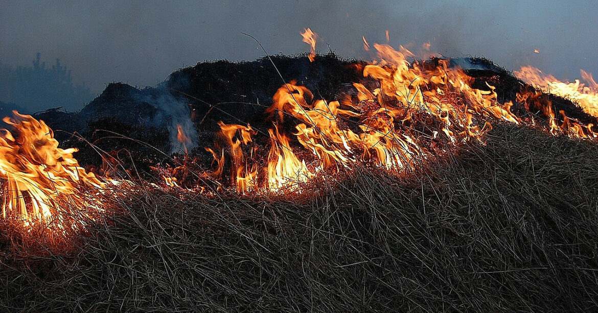 В Іспанії вирують лісові пожежі: постраждали 20 пасажирів поїзда