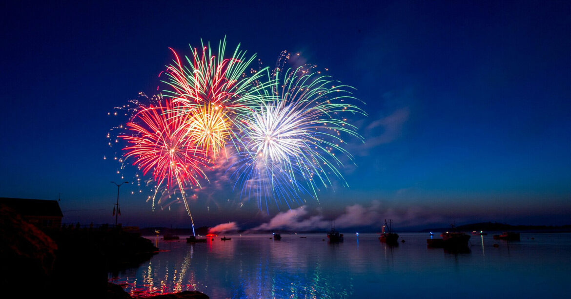 У Румунії все більше міст відмовляються від салютів на Новий рік заради тварин