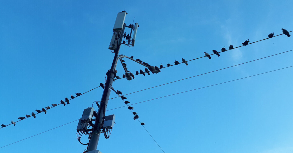 Частина Чернігівської області залишилася без світла через обстріл РФ