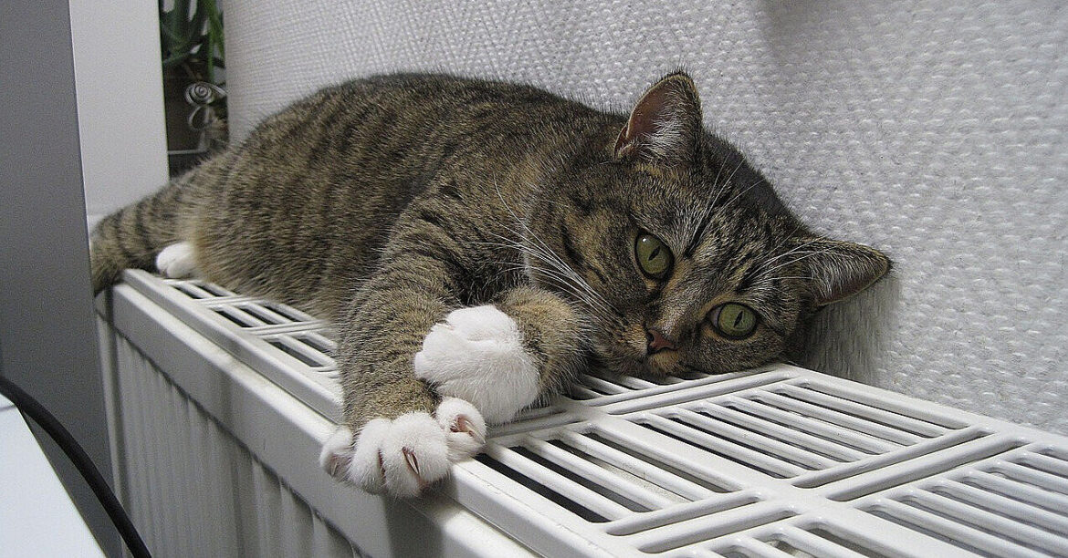 Частині киян можуть повернути опалення вже сьогодні ввечері – мер