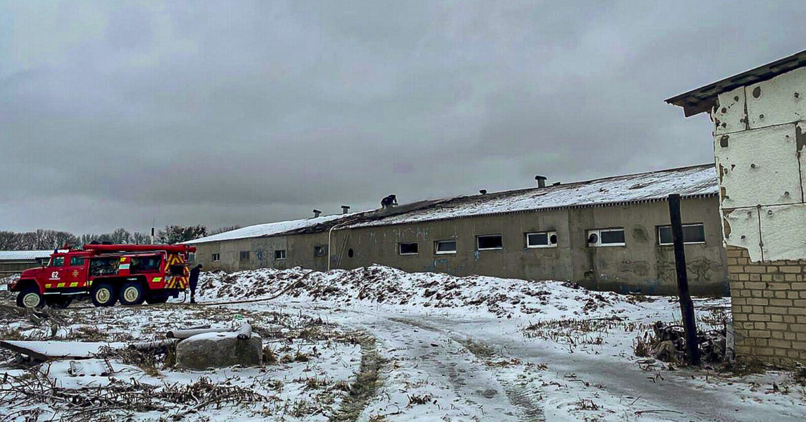 РФ вдарила по фермі на Харківщині: загинули 100 свиней, постраждав чоловік