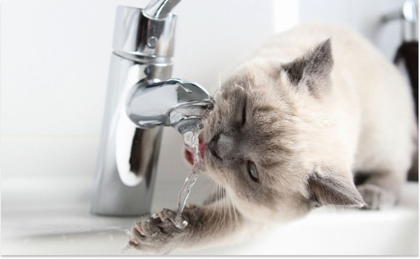 У Дніпрі масово відключатимуть воду боржникам: список адрес