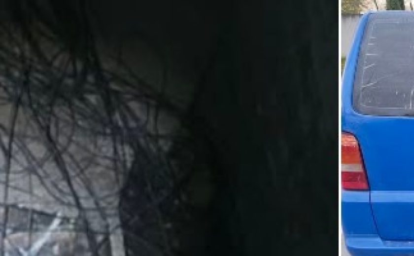 У Дніпрі виявили ймовірних крадіїв дротів із комунікаційного колодязя