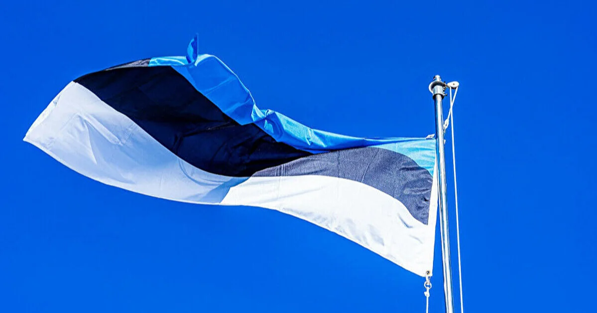 В Естонії закликали спрямовувати мита з російських товарів на відновлення України