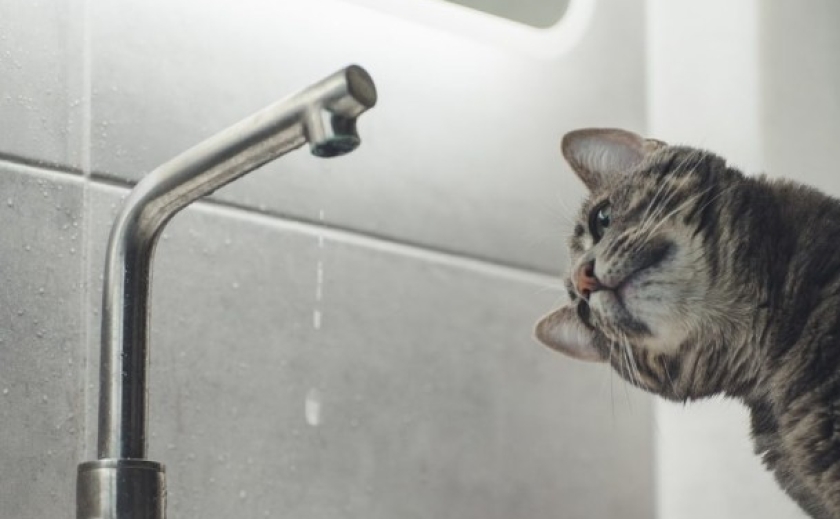 У Чечелівському районі Дніпра наступного тижня відключатимуть воду за борги