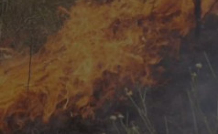 За минулу добу на території Запорізької області рятувальники ліквідували п’ять пожеж в екосистемах