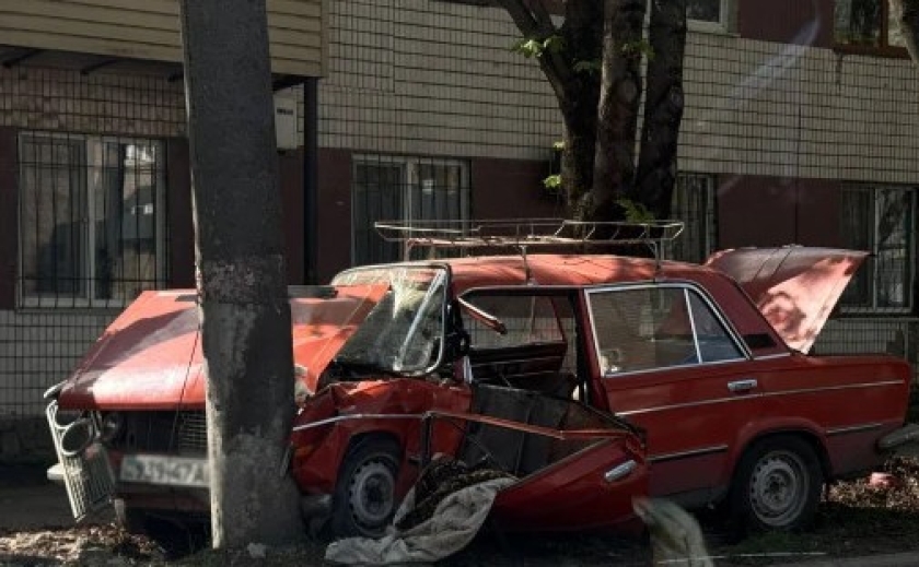 У Кривому Розі автівка врізалася в дерево