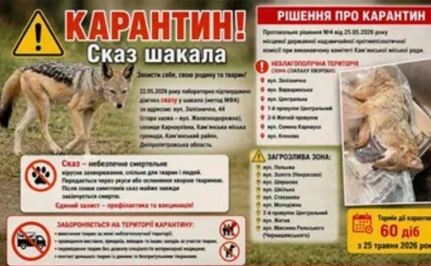 У селищі на Дніпропетровщині ввели карантин через випадок сказу