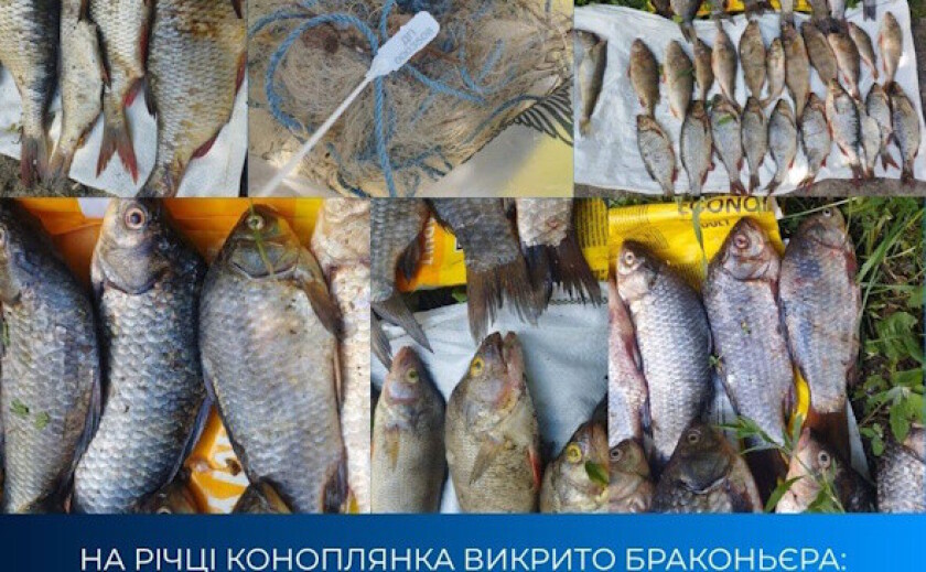 На Дніпропетровщині браконьєр наловив риби на понад 82 тисячі гривень збитків