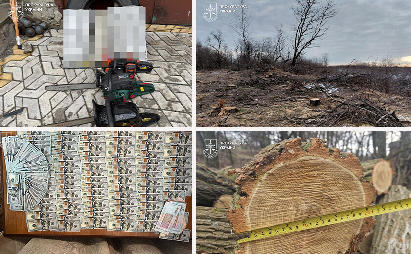 На Дніпропетровщині викрили групу «чорних лісорубів»: до схеми були причетні правоохоронці