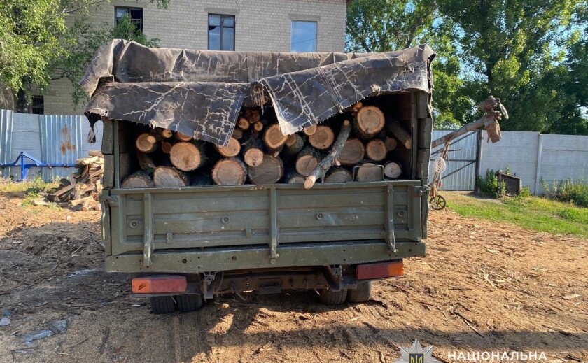 На Дніпропетровщині викрили «чорних лісорубів»: збитки оцінили майже у 700 тисяч гривень