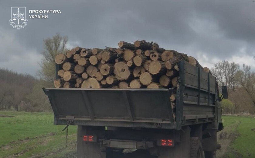 На Дніпропетровщині судитимуть «чорних лісорубів», які завдали державі майже 3 млн грн збитків
