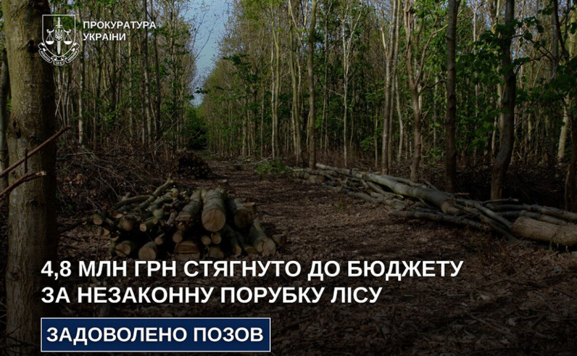 На Дніпропетровщині через незаконну вирубку лісу до бюджету стягнуть 4,8 млн грн